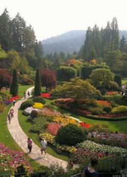 Butchart Gardens